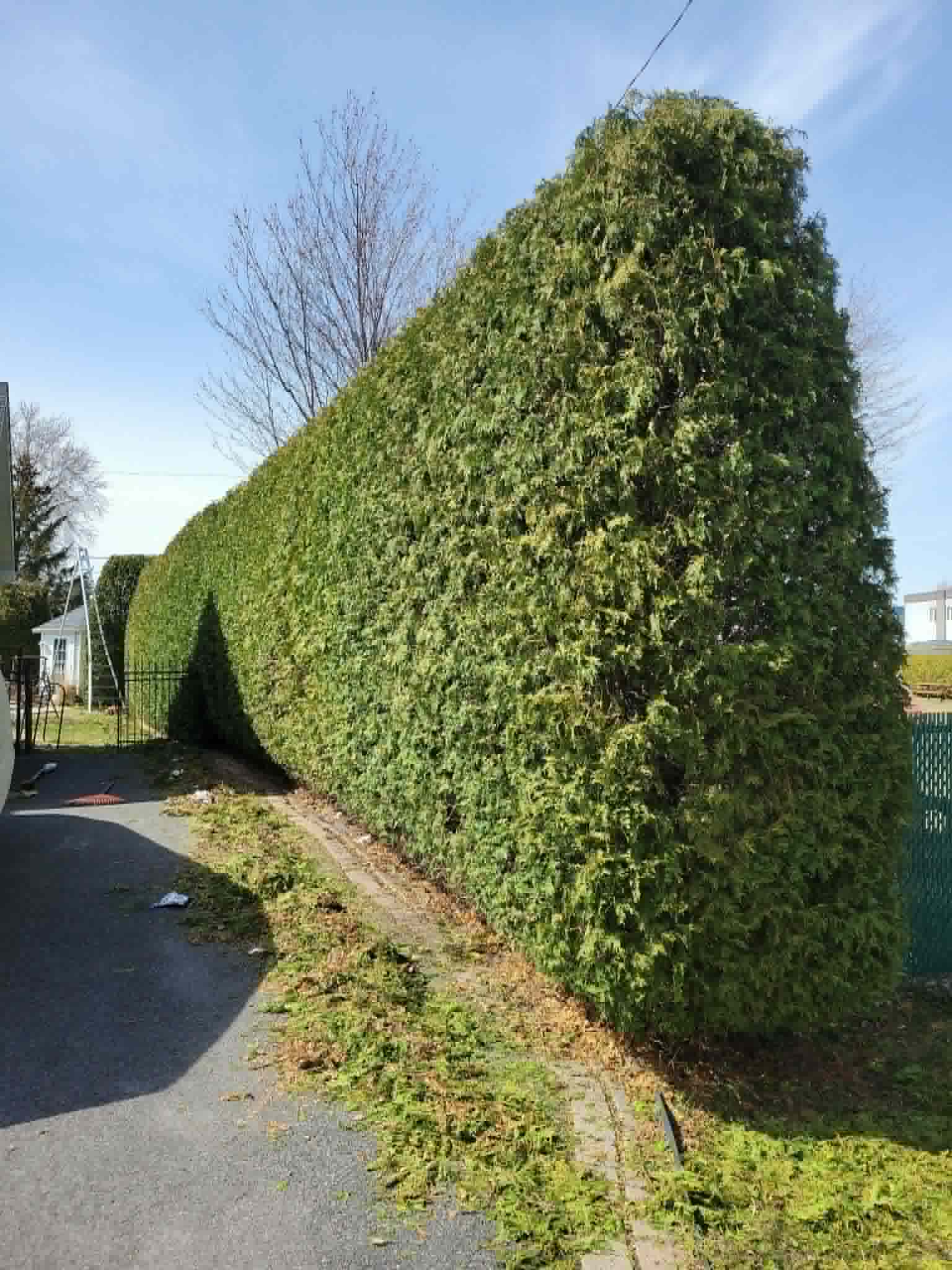 Haie avec spa