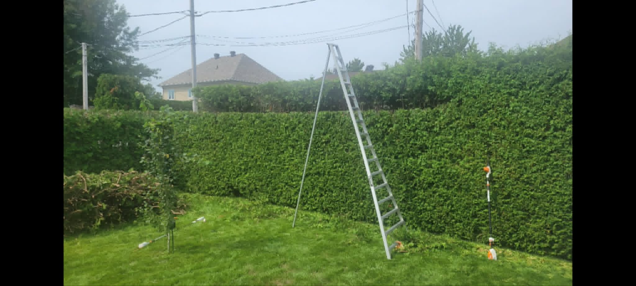 En plein travail — haie haute