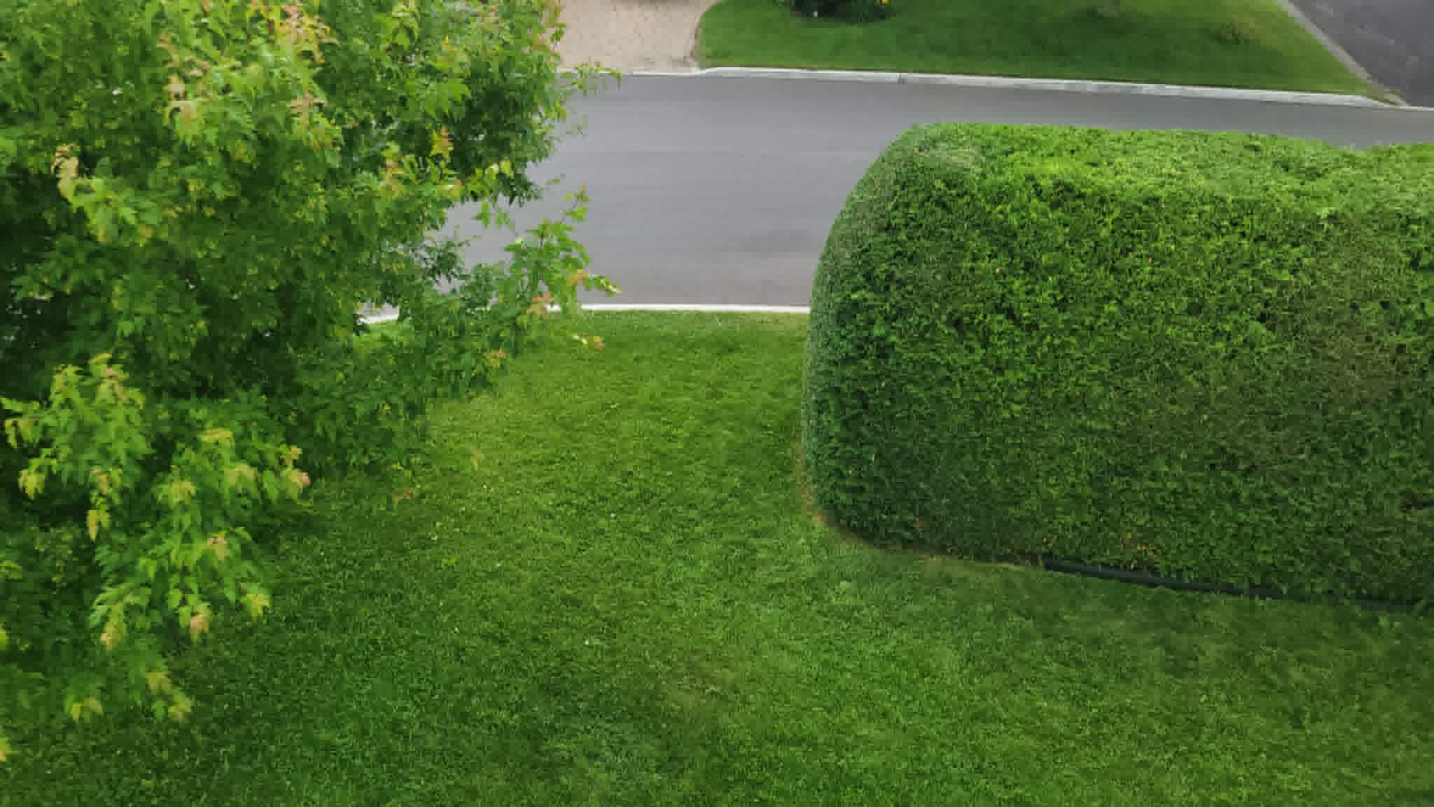 Grande haie — travail en hauteur